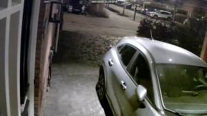 Caméra IP - Netherlands