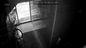 Caméra IP - Corée du Sud