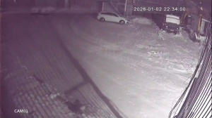 Caméra IP - Russian Federation