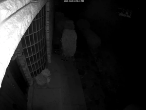 Caméra IP - Belgium