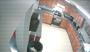 Caméra IP - United States of America