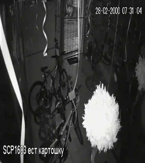 Caméra IP - Bolivia