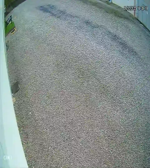 Caméra IP - Brésil