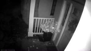 Caméra IP - Vereinigte Staaten von Amerika