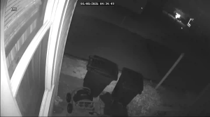 Caméra IP - United States of America