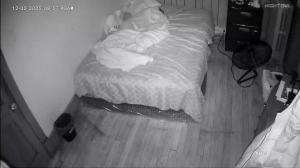 Caméra IP - États-Unis d'Amérique