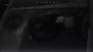 Caméra IP - Royaume-Uni