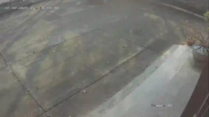 Caméra IP - Thailand