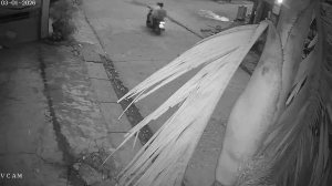 Caméra IP - Vietnam