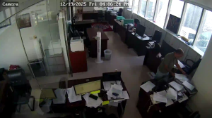 Caméra IP - Émirats Arabes Unis