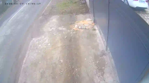 Caméra IP - Ucrania