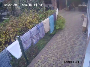 Caméra IP - Ukraine