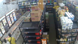 Caméra IP - Suriname