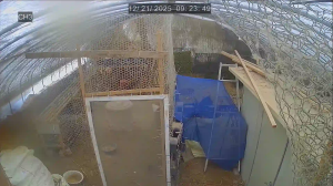 Caméra IP - Südkorea