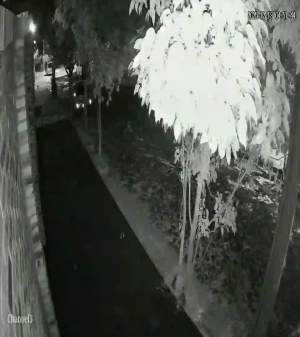 Caméra IP - Paraguay