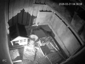 Caméra IP - Pays-Bas