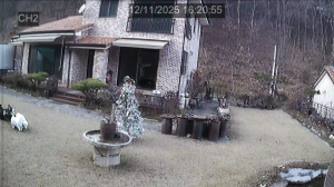 Caméra IP - Corée du Sud