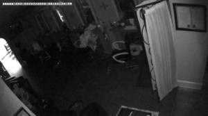 Caméra IP - Stati Uniti d'America