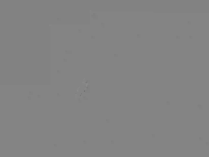 Caméra IP - Nouvelle-Zélande