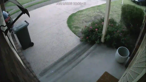 Caméra IP - Australien