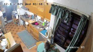 Caméra IP - Libanon