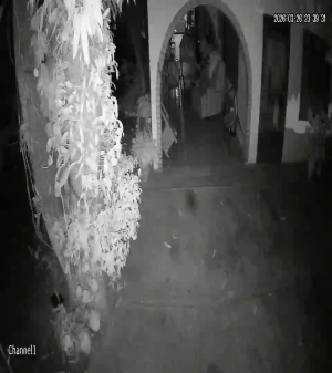 Caméra IP - Bolivia