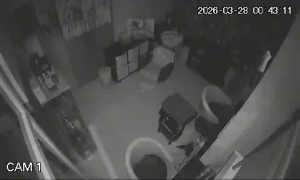 Caméra IP - Portugal