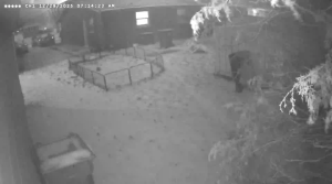 Caméra IP - Vereinigte Staaten von Amerika