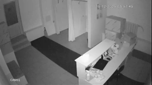 Caméra IP - Russische Föderation