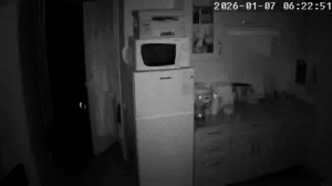 Caméra IP - Russian Federation