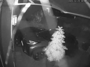 Caméra IP - Deutschland