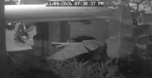 Caméra IP - Porto Rico