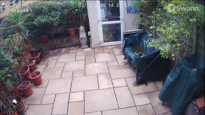 Caméra IP - Reino Unido