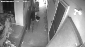 Caméra IP - United States of America