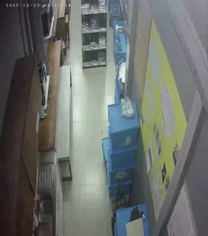 Caméra IP - Brasile