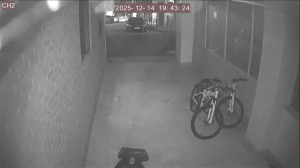 Caméra IP - Südkorea