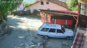 Caméra IP - Türkiye