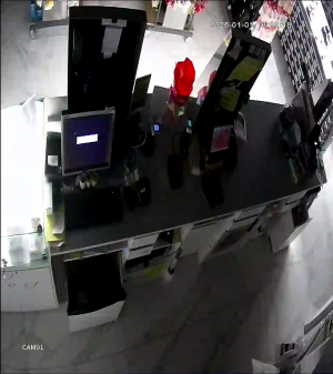 Caméra IP - Denmark