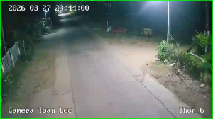 Caméra IP - Vietnam