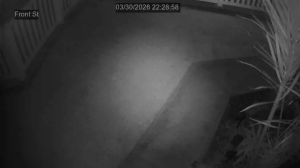 Caméra IP - United States of America