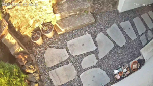 Caméra IP - South Korea