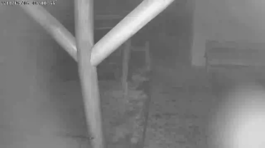 Caméra IP - Hungría