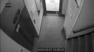 Caméra IP - South Korea