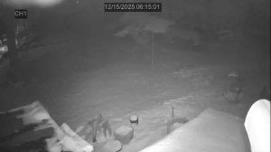 Caméra IP - United States of America