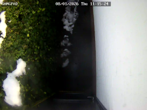 Caméra IP - Paesi Bassi