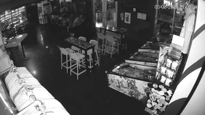 Caméra IP - United States of America