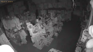 Caméra IP - Russian Federation