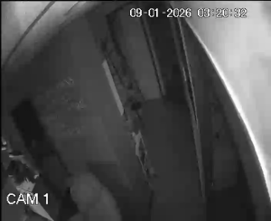 Caméra IP - Frankreich