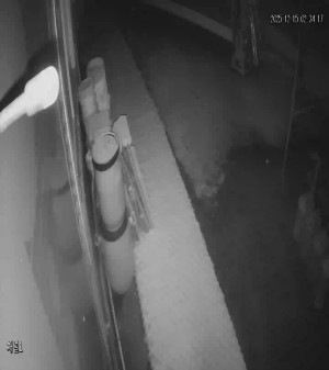 Caméra IP - South Korea