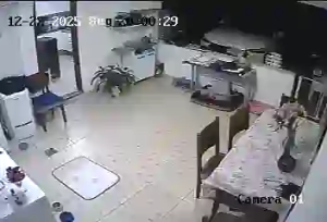 Caméra IP - Brésil